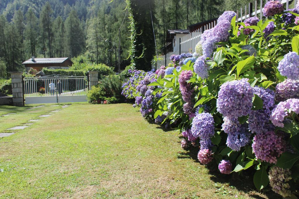 Villa Egle Antronapiana Zewnętrze zdjęcie